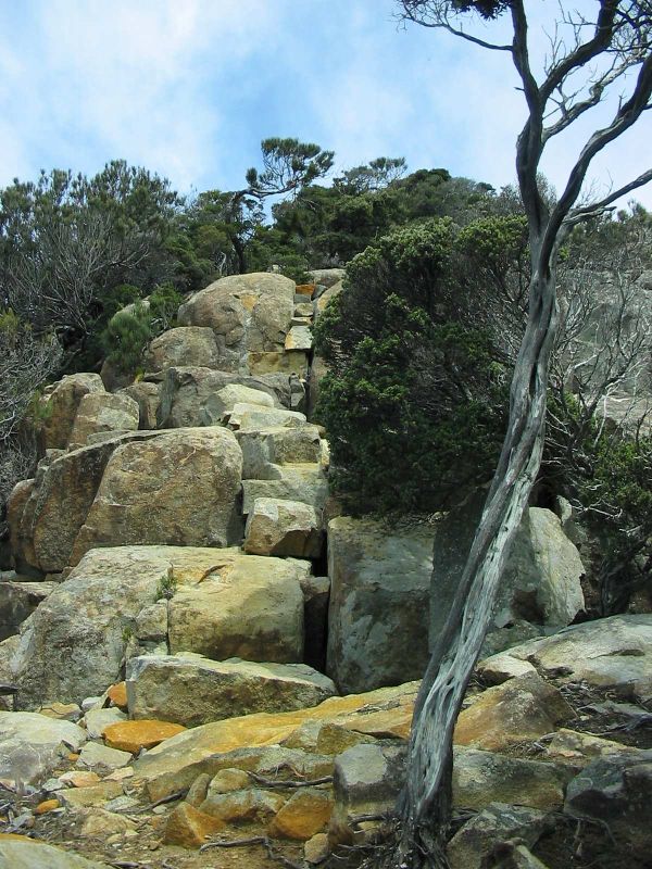 Rocky Stairway.jpg